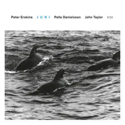 "Juni" ("Peter Erskine Trio") (CD / Album)