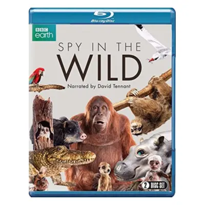 "Spy in the Wild" ("") (Blu-ray)