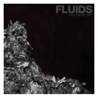 "Not Dark Yet" ("Fluids") (CD / Album)