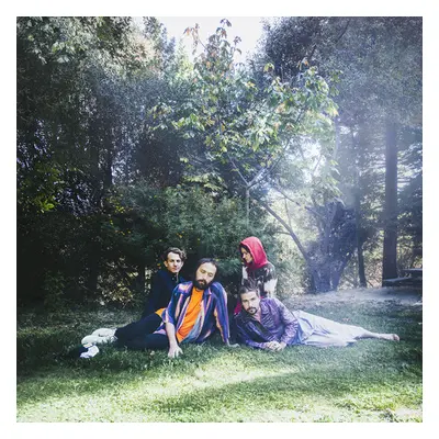 "U.F.O.F." ("Big Thief") (Vinyl / 12" Album)