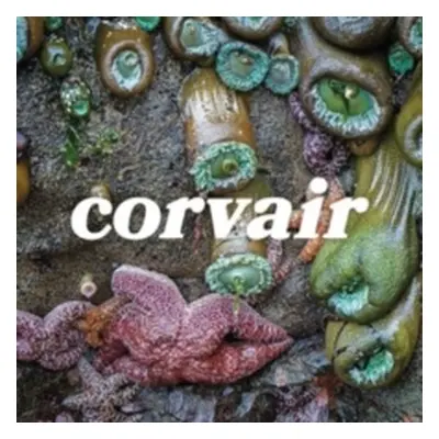 "Corvair" ("Corvair") (Vinyl / 12" Album)