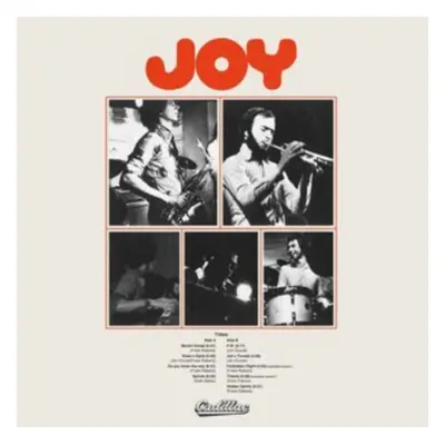 "Joy" ("Joy") (Vinyl / 12" Album)