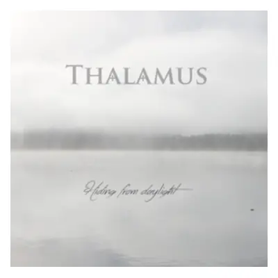 "Hiding from Daylight" ("Thalamus") (Vinyl / 12" Album)