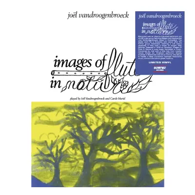 "Images of Flute in Nature" ("Joel Vandroogenbroeck") (Vinyl / 12" Album)