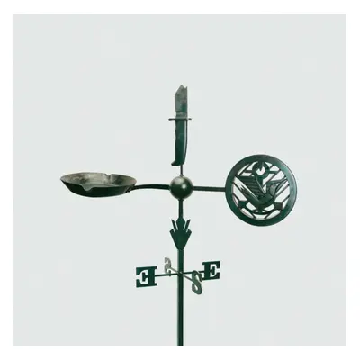 "Weathervanes" ("Jason Isbell and The 400 Unit") (Vinyl / 12" Album)