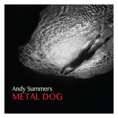 "Metal Dog" ("Andy Summers") (CD / Album)