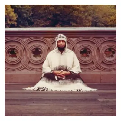 "Segue to Infinity" ("Laraaji") (Vinyl / 12" Album Box Set)