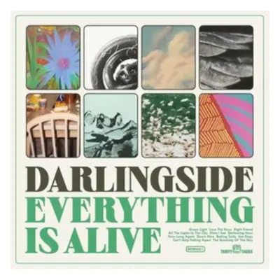 "Everything Is Alive" ("Darlingside") (Vinyl / 12" Album)