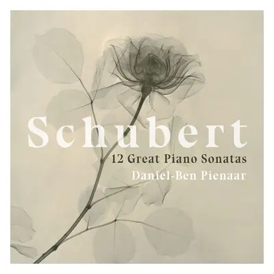 "Schubert: 12 Great Piano Sonatas" ("") (CD / Box Set)