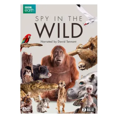 "Spy in the Wild" ("") (DVD)