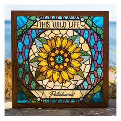 "Petaluma" ("This Wild Life") (Vinyl / 12" Album)