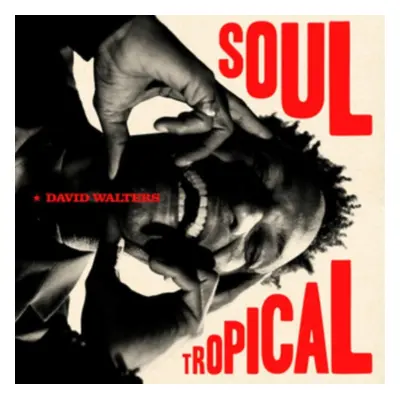 "Soul Tropical" ("David Walters") (CD / Album Digipak)