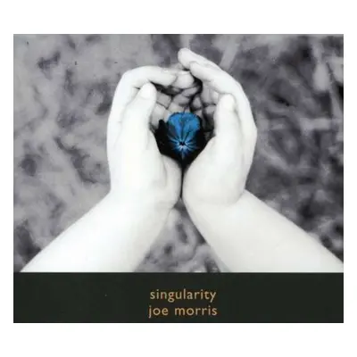 "Singularity" ("Joe Morris") (CD / Album)