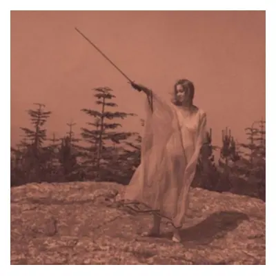 "II" ("Unknown Mortal Orchestra") (CD / Album)