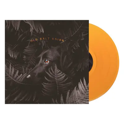 "Where the Dogs Don't Bite" ("Old Salt Union") (Vinyl / 12" Album)