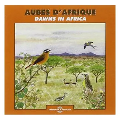 "Aubes D'Afrique" ("") (CD / Album)