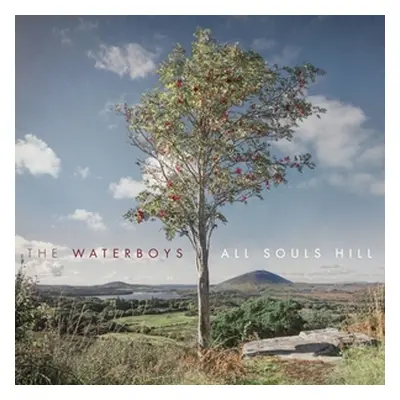 "All Souls Hill" ("The Waterboys") (Vinyl / 12" Album)