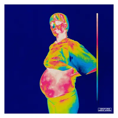 "Iridescence" ("Brockhampton") (Vinyl / 12" Album)