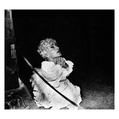 "Halcyon Digest" ("Deerhunter") (Vinyl / 12" Album)