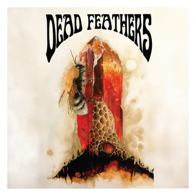 "All Is Lost" ("Dead Feathers") (Vinyl / 12" Album)