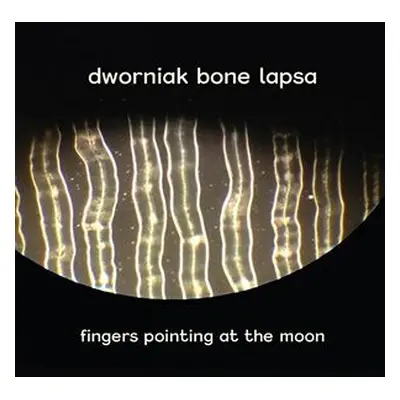 "Fingers Pointing at the Moon" ("Dworniak Bone Lapsa") (CD / Album)