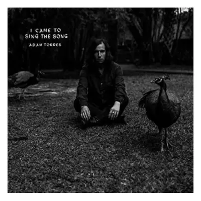 "I Came to Sing the Song" ("Adam Torres") (CD / Single)