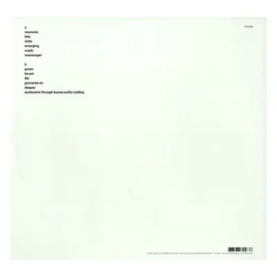 "Be am" ("Bugge Wesseltoft") (Vinyl / 12" Album)