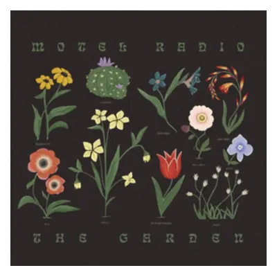 "The Garden" ("Motel Radio") (CD / Album)