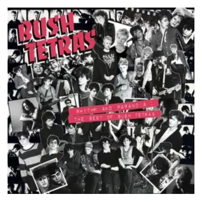 "Rhythm and Paranoia" ("Bush Tetras") (CD / Album)