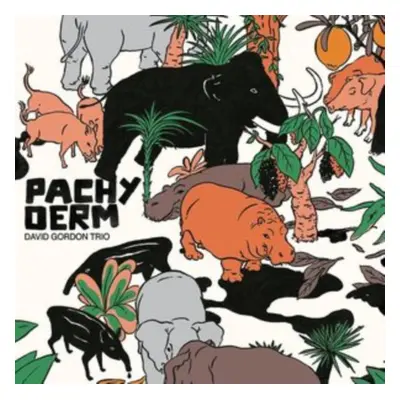 "Pachyderm" ("David Gordon Trio") (Vinyl / 12" Album)