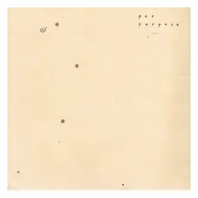 "Circle the Stains" ("Per Purpose") (Vinyl / 12" Album)