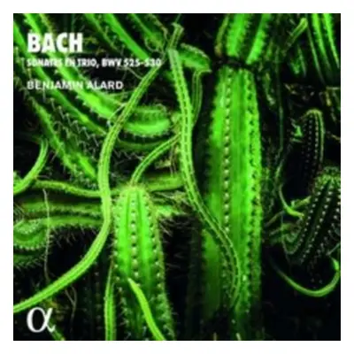 "Bach: Sonates En Trio, BWV525-530" ("") (CD / Album)