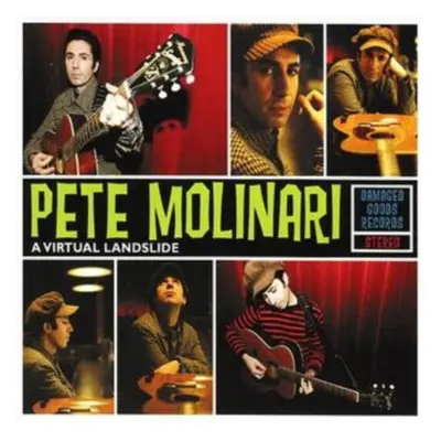 "A Virtual Landslide" ("Pete Molinari") (CD / Album)