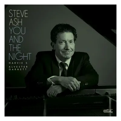 "You and the night" ("Steve Ash") (CD / Album)