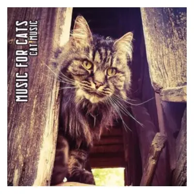 "Cat music" ("Music for Cats") (CD / Album Digipak)