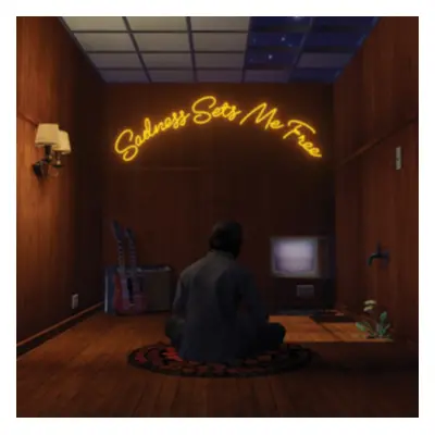 "Sadness Sets Me Free" ("Gruff Rhys") (CD / Album)