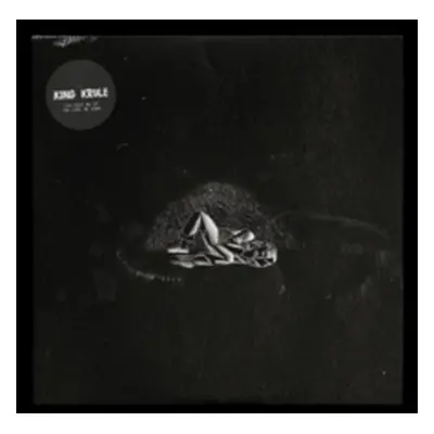 "You Heat Me Up, You Cool Me Down" ("King Krule") (Vinyl / 12" Album)