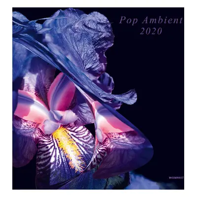 "Pop Ambient 2020" ("") (CD / Album)