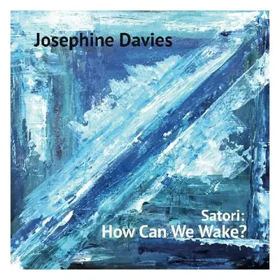 "How Can We Wake?" ("Josephine Davies") (Vinyl / 12" Album)