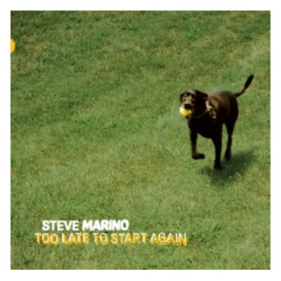 "Too Late to Start Again" ("Steve Marino") (Vinyl / 12" Album)