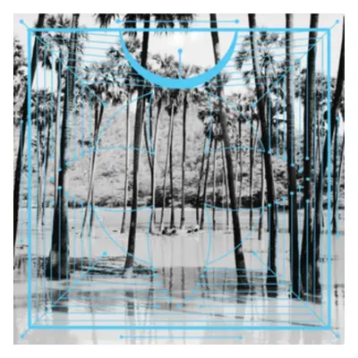 "Pink" ("Four Tet") (Vinyl / 12" Album)