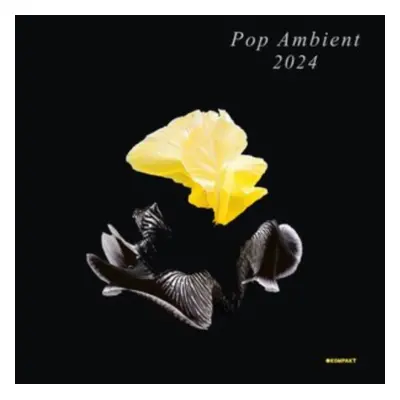 "Pop Ambient 2024" ("") (Vinyl / 12" Album)