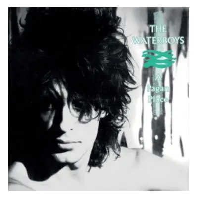 "A Pagan Place" ("The Waterboys") (Vinyl / 12" Album)