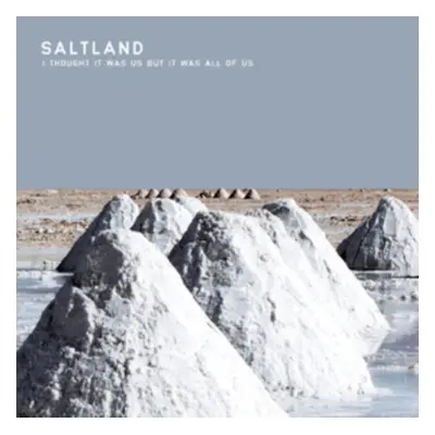 "I Thought It Was Us But It Was All of Us" ("Saltland") (Vinyl / 12" Album)