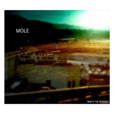 "What's the Meaning?" ("Mol") (CD / Album)