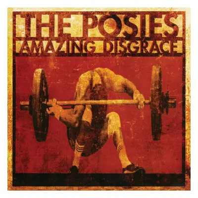 "Amazing Disgrace" ("The Posies") (Vinyl / 12" Remastered Album)