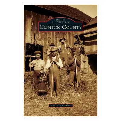 "Clinton County" - "" ("Pratt Anastasia L.")