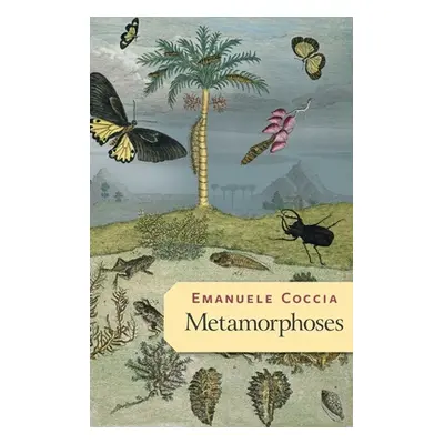 "Metamorphoses" - "" ("Coccia Emanuele")