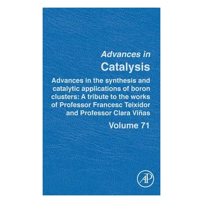 "Advances in the synthesis and catalytic applications of boron cluster: A tribute to the works o