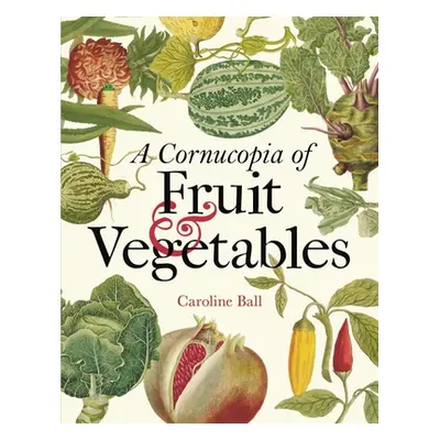 "A Cornucopia of Fruit & Vegetables: Illustrations from an Eighteenth-Century Botanical Treasury